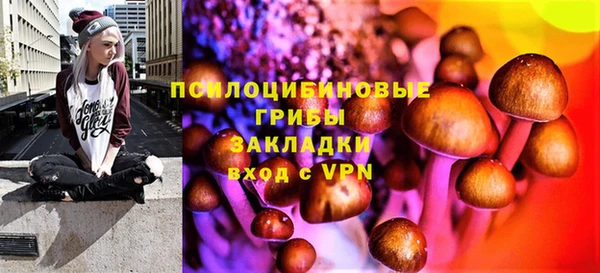 спиды Зерноград