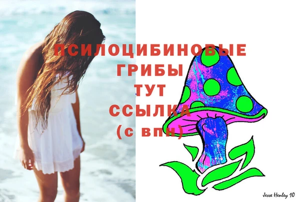 ECSTASY Зеленокумск