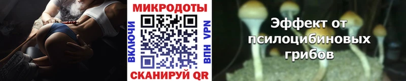 Купить  Медынь  Галлюциногенные грибы MAGIC MUSHROOMS 
