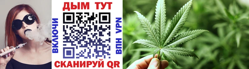 Купить закладки  Медынь  Бошки марихуана гибрид 